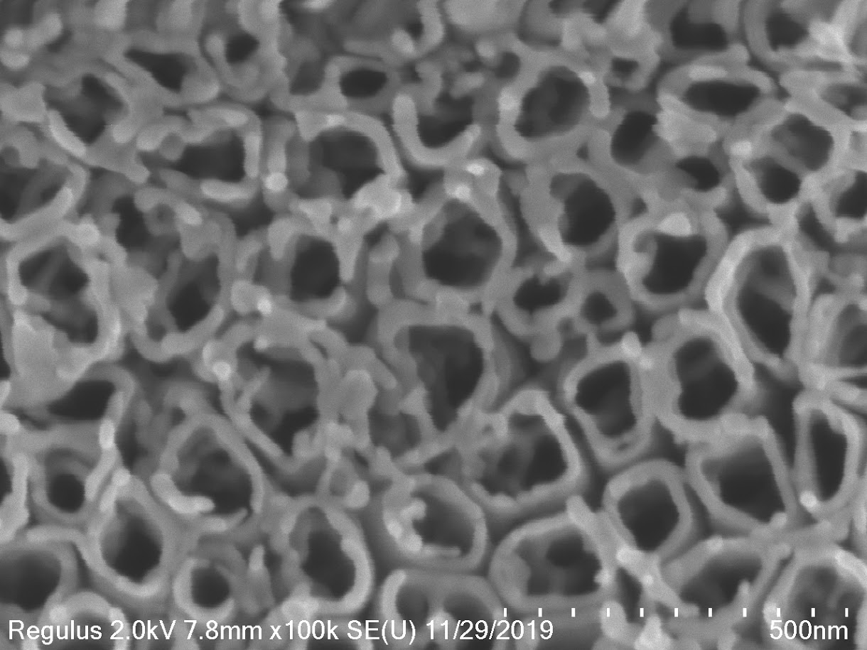 鈦基板奈米管柱上視圖，管柱直徑約135nm